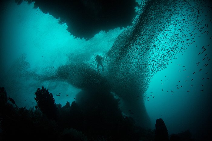 Impresionante fotografía surrealista bajo el agua de Alexandra Rose