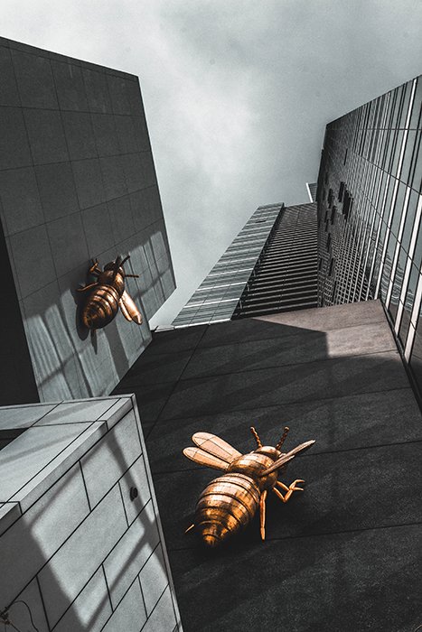 Foto de Oliwier Gesla de avispas de metal escalando un rascacielos - fotografía surrealista