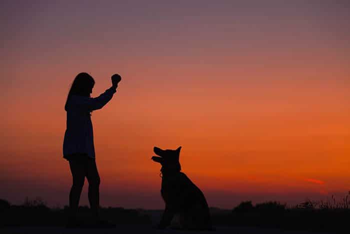 silueta de niña jugando a buscar con un perro