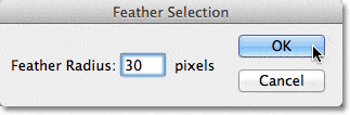 El cuadro de diálogo Selección de plumas en Photoshop.