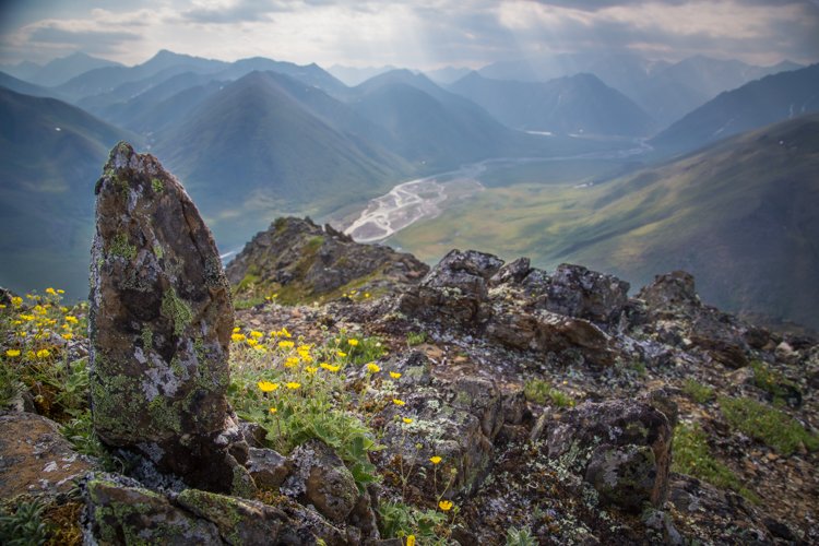 La cima de una montaña rocosa con rocas y flores amarillas con vistas a un valle y otras montañas