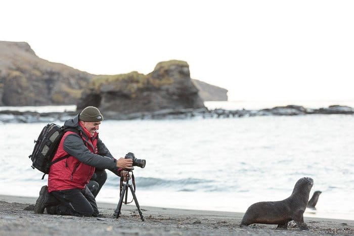 Un fotógrafo de vida silvestre fotografiando un retrato de una foca en una playa