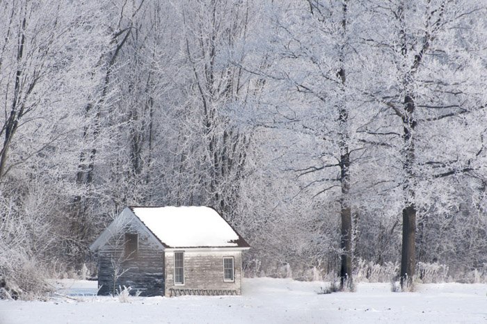 Foto de paisaje invernal de una cabaña de madera cubierta de nieve en un bosque.