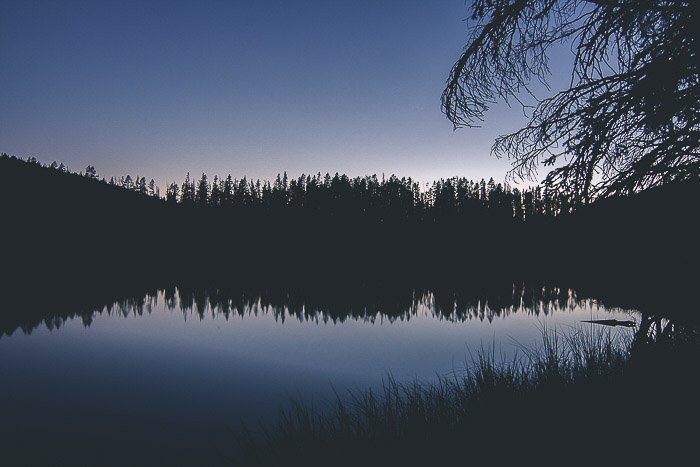 Hermosa fotografía de reflexión de poca luz de siluetas de árboles y reflejándose en un lago