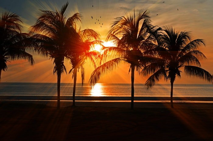 Un atardecer en una playa con palmeras.