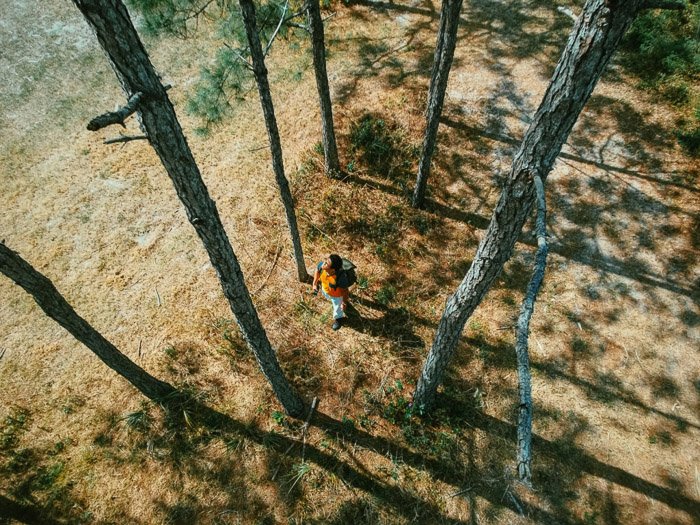 Fotografía cenital de un hombre caminando por un bosque - fotografía de sombras