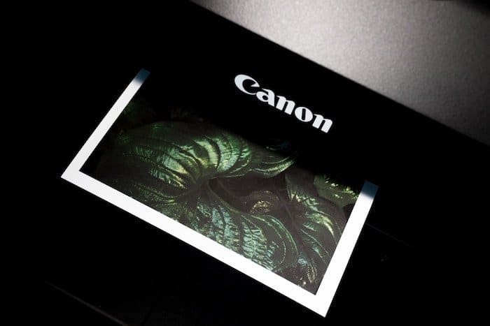 Una impresora Canon imprimiendo una foto de hojas