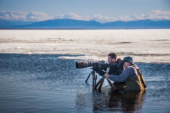 Dos fotógrafos fotografiando aves con teleobjetivos largos