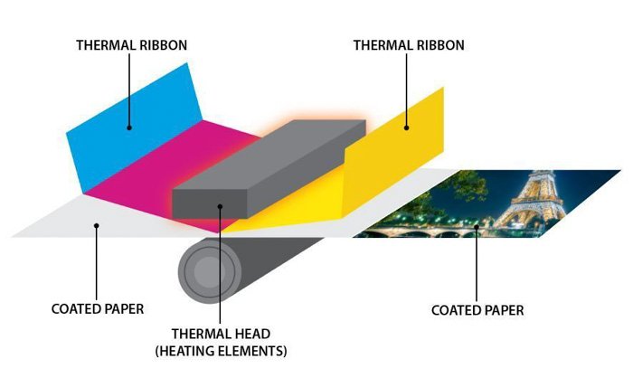diagrama de impresora térmica
