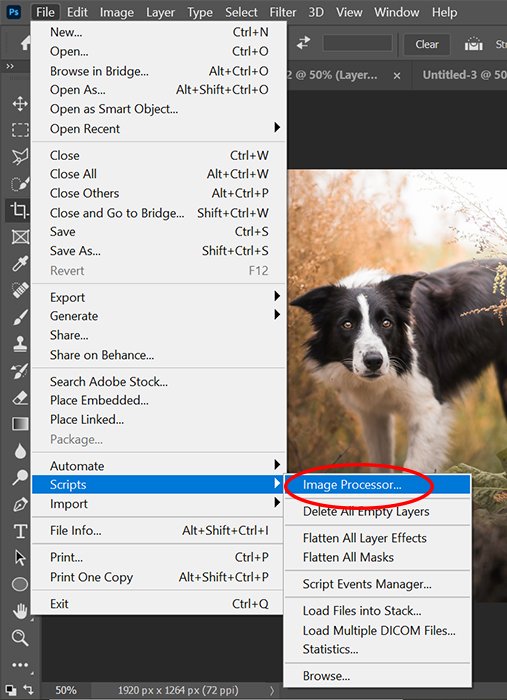 Una captura de pantalla de la selección del procesador de imágenes en Photoshop