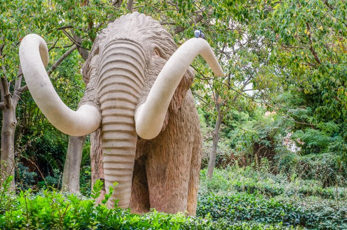 Una escultura de un mamut lanudo en el Parque de la Ciutadella en el barrio del Born - Localizaciones de fotos de Barcelona