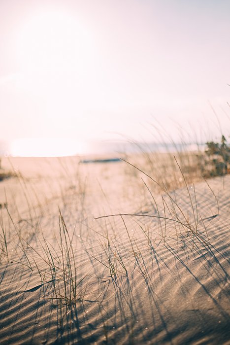 Serena foto de ángulo bajo de una playa de arena en un día despejado: hermosos principios de fotografía