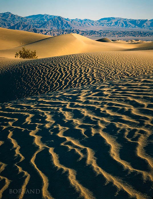 Fotografía del desierto que muestra líneas en primer plano, dunas y montañas al fondo