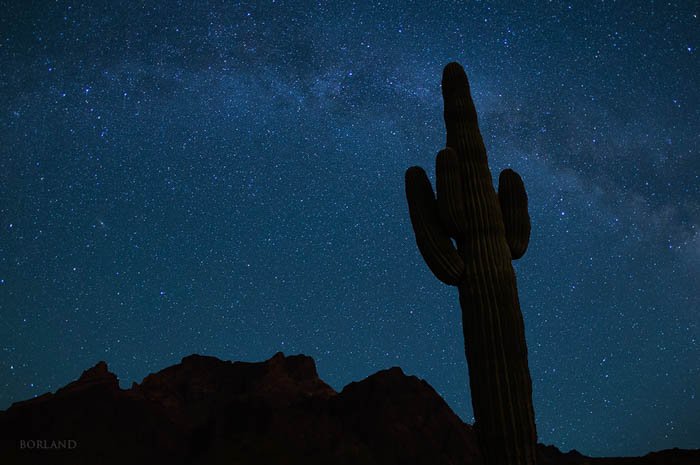 Fotografía nocturna del desierto que muestra las siluetas de las montañas y un cactus con el cielo estrellado de fondo