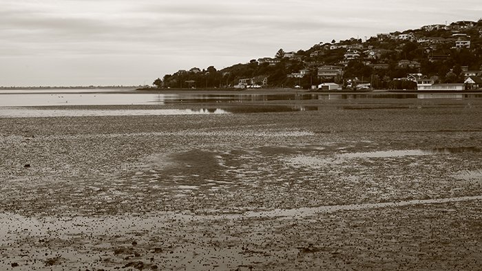 Una toma sepia de un estuario: la mejor configuración de la cámara para fotografías en blanco y negro