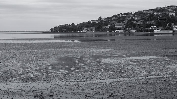 El estuario con un tono azul y una mayor nitidez y contraste monocromático en la configuración de la cámara.  50 mm, ISO100, 1 / 250seg, f / 9.