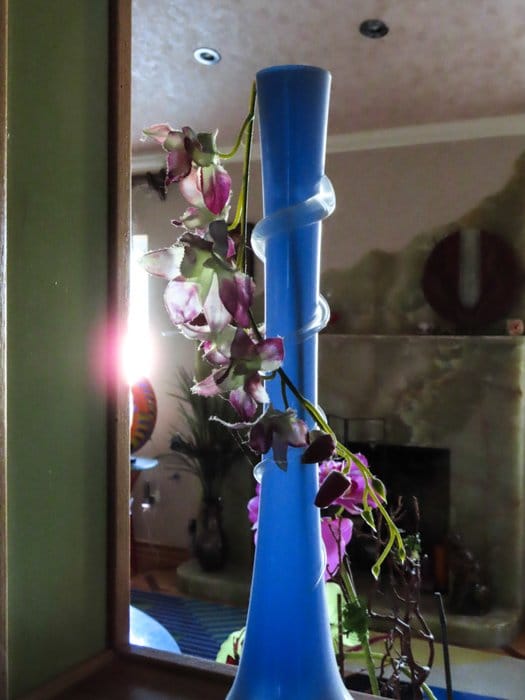 Una toma interior de una planta con flores moradas en un jarrón azul, tomada con una canon powershot sx740 hs