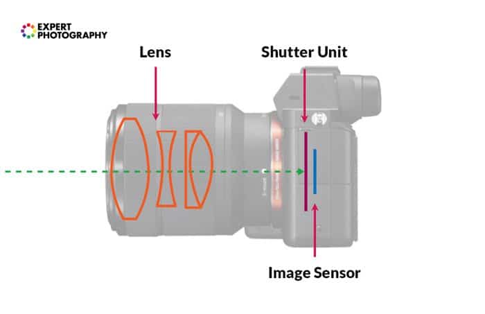 Infografía explicando el visor electrónico.