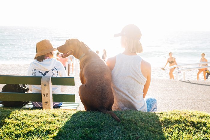 Un retrato sincero de personas sentadas en la playa.