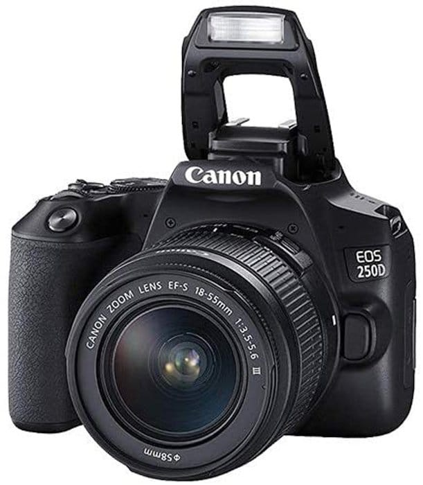 una imagen de una Canon EOS 250D