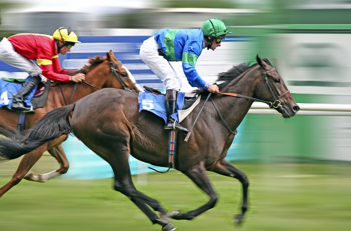 Dos jinetes a caballo durante una carrera.