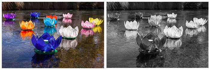 dos fotos.  izquierda: linternas de flores de colores flotando en la superficie de un difunto.  Derecha: la misma foto convertida a blanco y negro