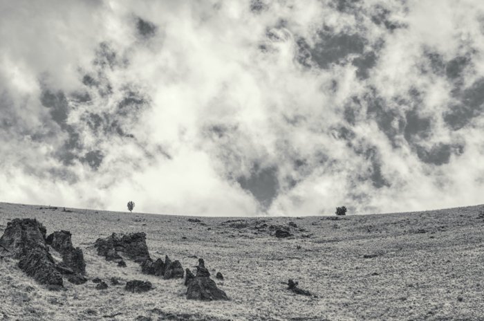 una imagen en blanco y negro de un paisaje tomado con un filtro ultravioleta