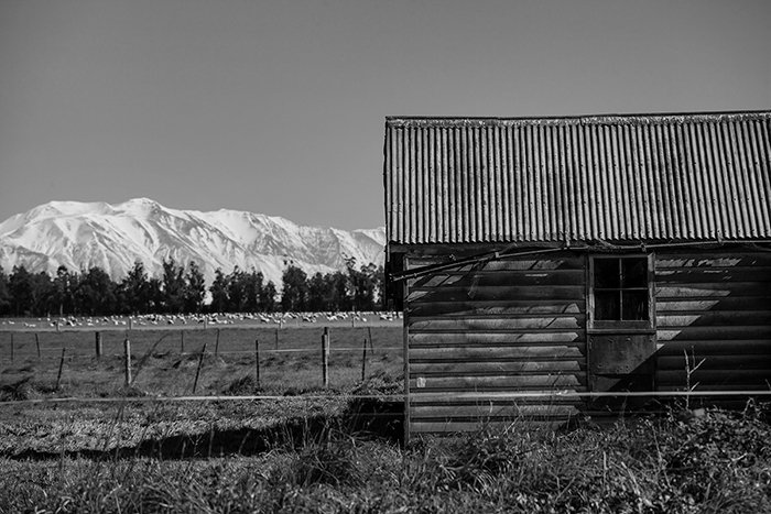 Fotografía en blanco y negro de la State Highway One en las primeras horas de la tarde, Canterbury, Nueva Zelanda. 