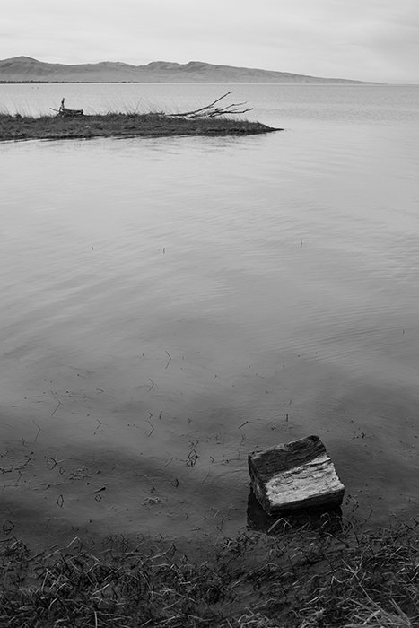 Te Waihora (lago Ellesmere) en Canterbury, Nueva Zelanda.  Consejos para la fotografía en blanco y negro