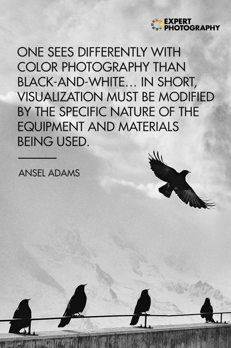 Una foto de pájaros posados ​​en una pared con una cita fotográfica en blanco y negro de Ansel Adams