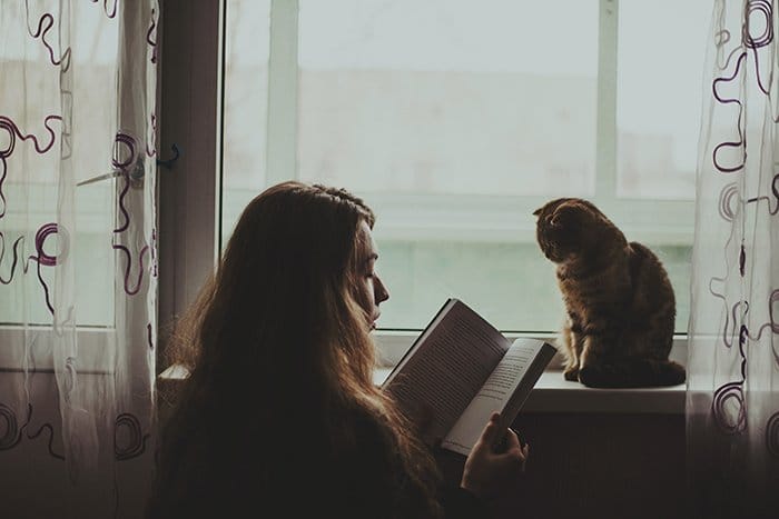 foto etérea de una niña leyendo a su gato que se sienta en el alféizar de la ventana, fotografía de retrato con luz natural