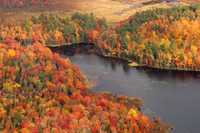 imagen de fotografía de viaje de un paisaje otoñal junto al agua, enmarcada por árboles naranjas y amarillos