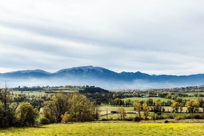 Un paisaje sereno de campos verdes con montañas al fondo