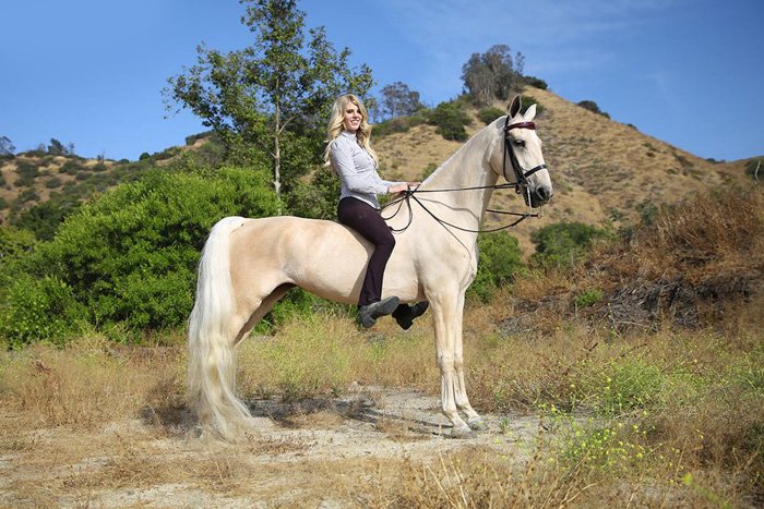 Una mujer sentada sobre un caballo blanco al aire libre