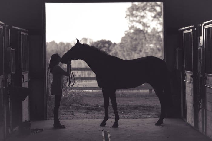 Silueta, de, un, mujer, besar, un, caballo