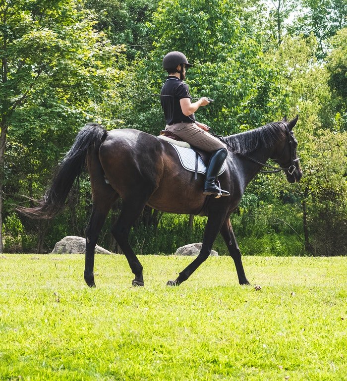 Un hombre montado en un caballo marrón oscuro.