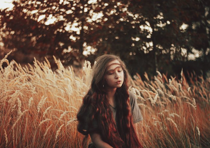 Retrato de ensueño de una niña de cabello oscuro en un campo de maíz con un fondo de bosque borroso. 