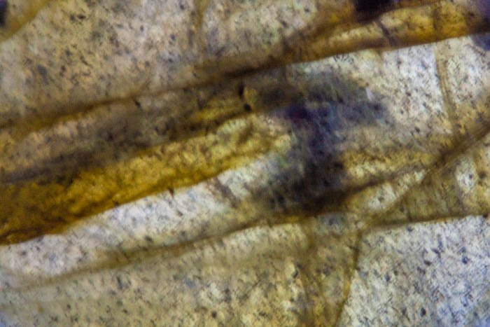Fotografía macro abstracta de gemston marrón
