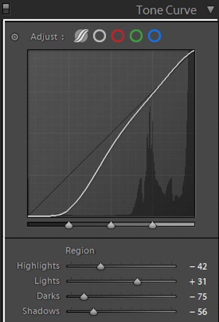 Captura de pantalla de Lightroom Tone Curve