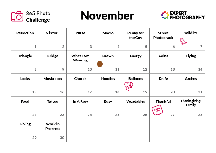 Calendario del desafío fotográfico de noviembre