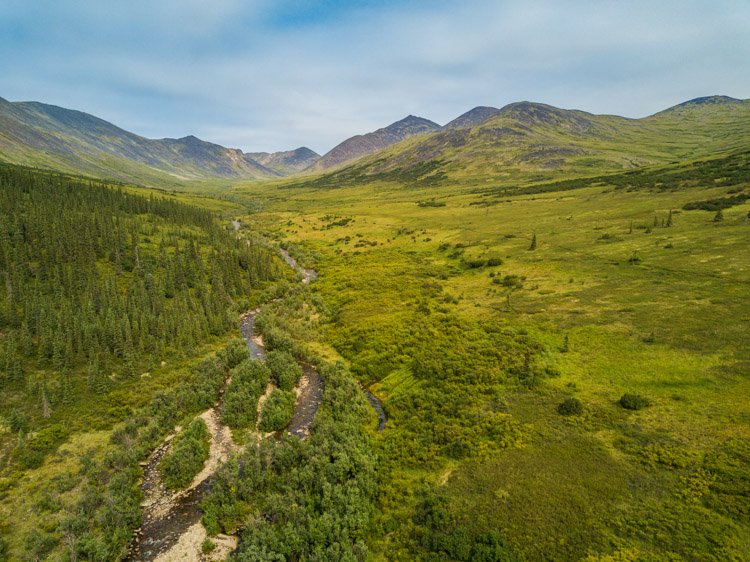 Vista de fotografía aérea de un bosque de árboles verdes y montañas tomadas por un dron