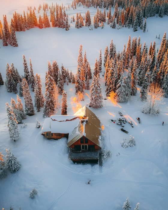 Fotografía aérea de pinos, nieve y una cabaña en los rayos del sol.