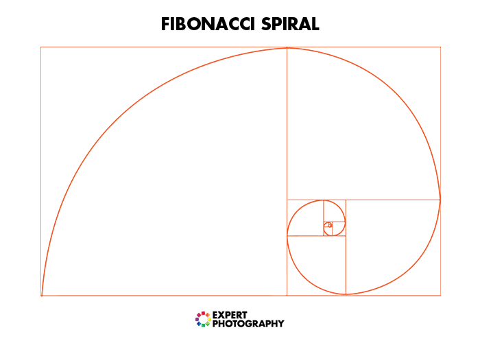un diagrama de la espiral de fibonacci para la composición de fotografías de alimentos