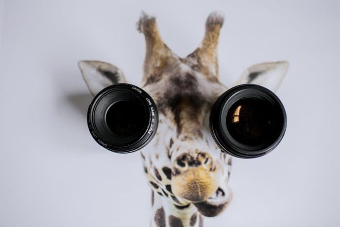 Un retrato humorístico de una jirafa con lentes de cámara para ojos 