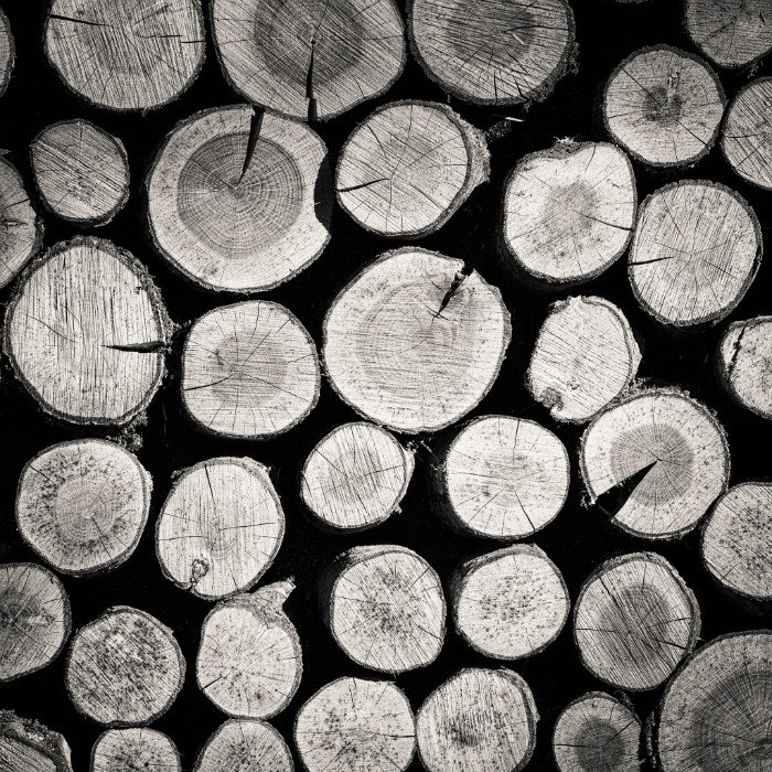 Fotografía en blanco y negro de troncos cortados apilados que muestran la textura de la madera