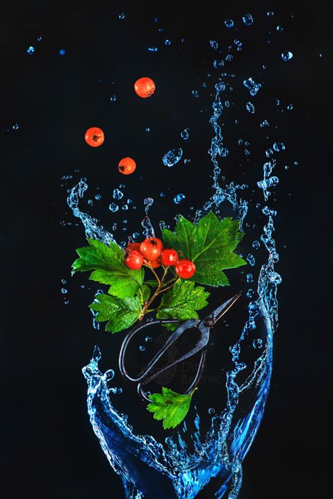 Una fotografía de comida creativa de bayas que caen y salpicaduras de agua.