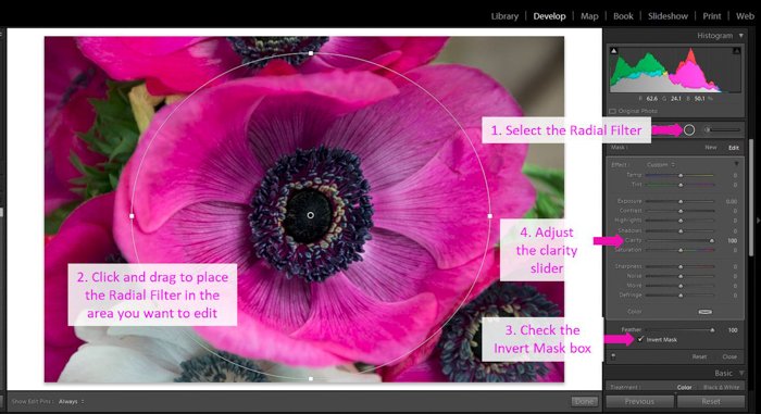 Una captura de pantalla que muestra cómo modificar la claridad mediante un filtro radial: herramienta de claridad lightroom 