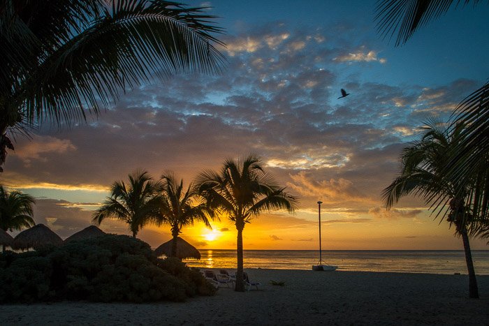 Fotografía costera: puesta de sol sobre la playa con palmeras, rocas y barco