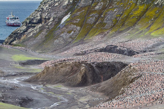 una franja de océano y el barco distante fueron suficientes para preparar el escenario para esta imagen de una colonia de pingüinos de barbijo en la Península Antártica.