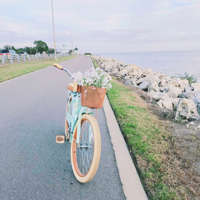 Foto de smartphone de una bicicleta con flores en la canasta en un camino rural. 